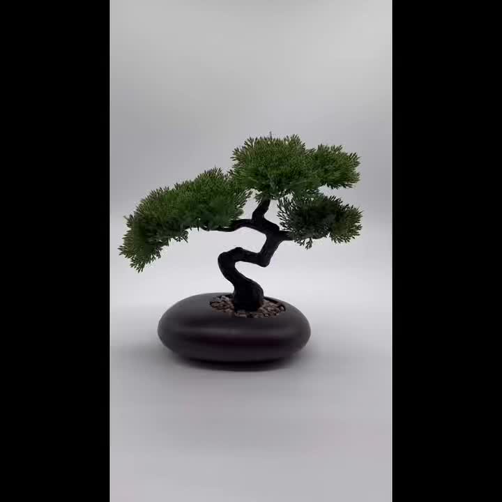 High-End Simulation Welcome Pine Bonsai, Welcome Pine, Maintenance-Free, Uv-Resistant, Ideal for Home And Office Decoration, Perfect Gift for Valentine'S Day, Various Festivals, And Auspicious Gifts, Simulation Welcome Pine - Image 10