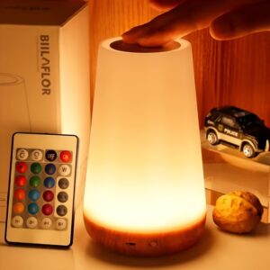 Touch Sensor LED Night Light with Remote Control, Touch Table Lamp, Small Night Light/Remote Desk Lamp, 13-Color Changing Small Night Light, with Timer Shut-Off, for Bedroom, Living Room, Party, Desktop, Birthday Gift Ambient Light