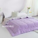 purple-and-gray