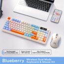 blueberry