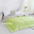 green-and-gray