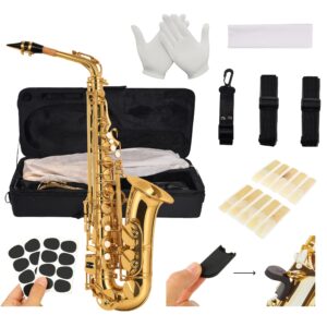 Professional Eb Alto Saxophone, Brass Material, Suitable for Performance and Exam Grading, Full Tone and Stable Intonation. Ideal for Adults, Students, Bands, Teaching, and Performances. Includes Instrument Bag, Gloves, Thumb Pad, 16 Replacement