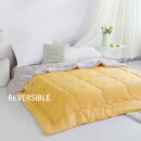 yellow-and-gray