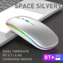 space-silvery