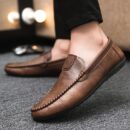 z11-brown