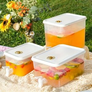 Domensi 2 Pack 9.46 L Drink Dispenser for Fridge with Spigot Water Dispenser Leak Proof Lids Filter Screen Beverage Juice Container Sealed Plastic Lemonade Milk Cold Hot Drink Tea Jug for Party